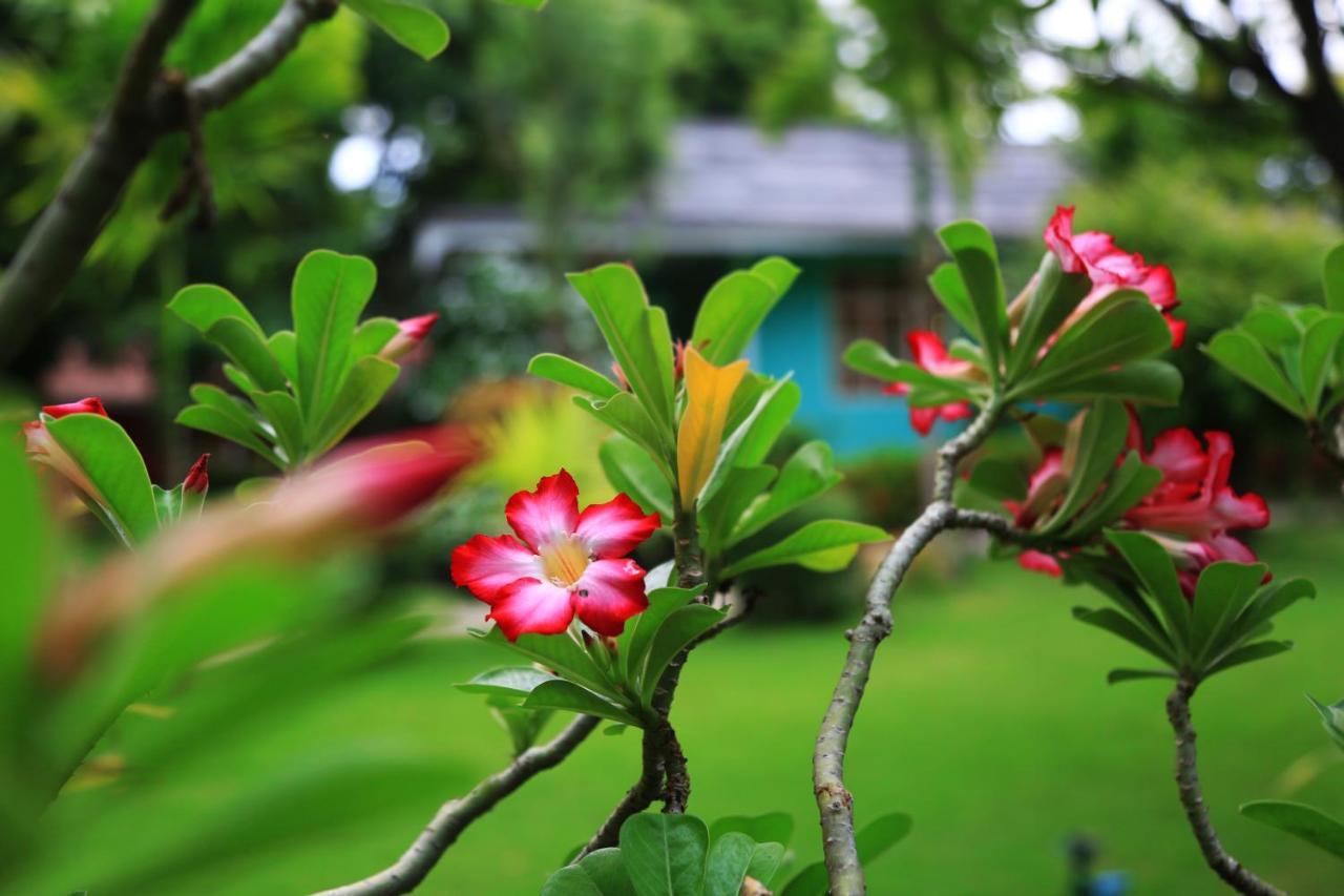 Thante Hotel - Nyaung Oo Bagian luar foto